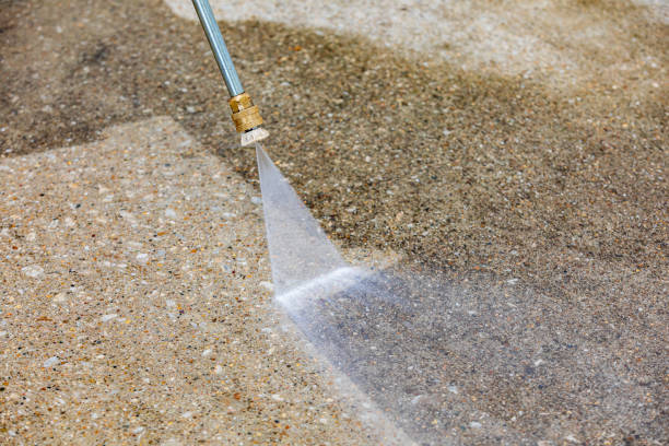Best Driveway Pressure Washing  in Dover Beaches North, NJ
